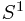 S^1
